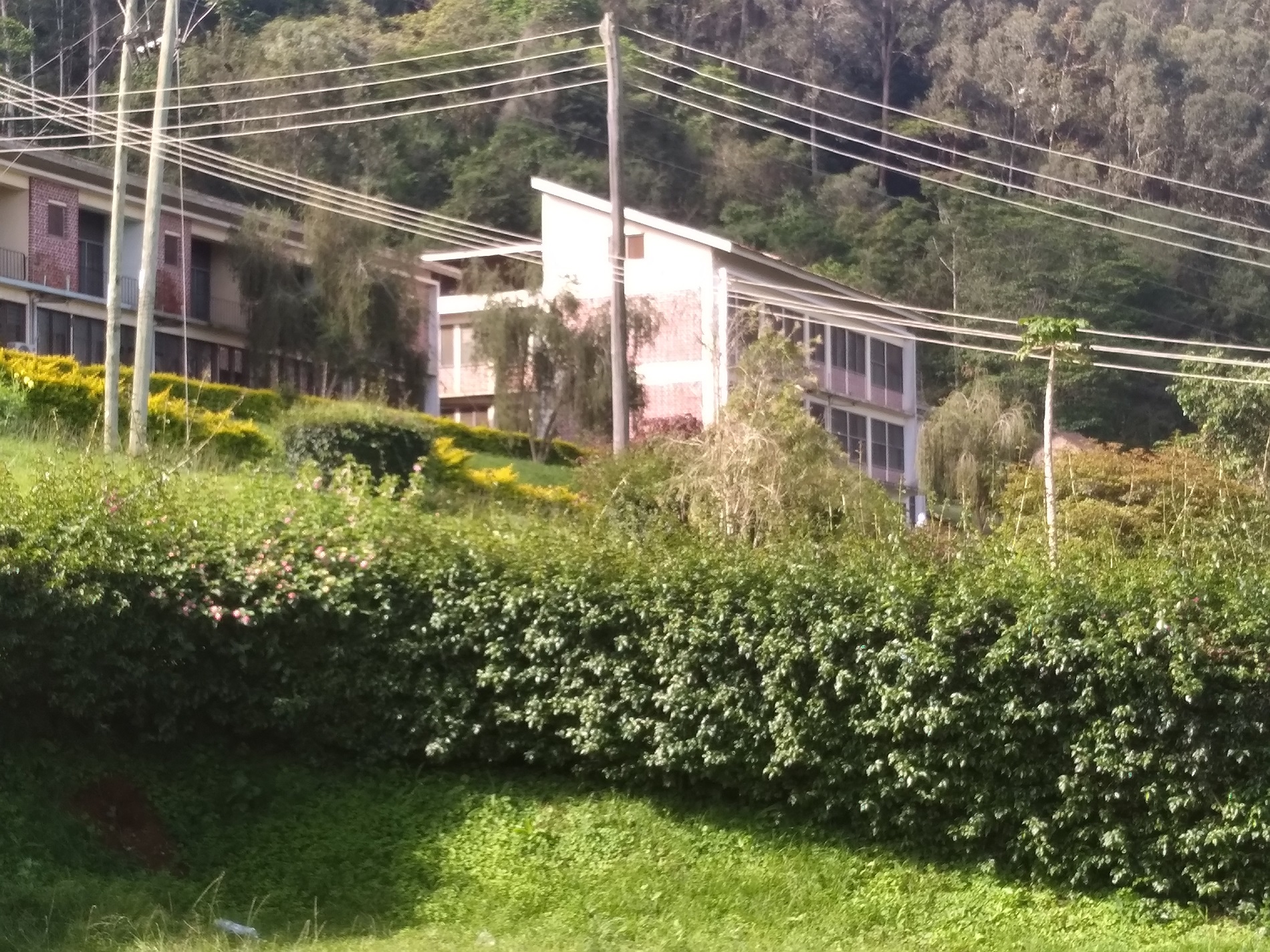 Enviroment